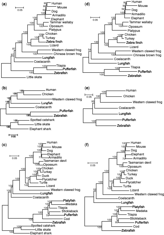 Fig. 2.—