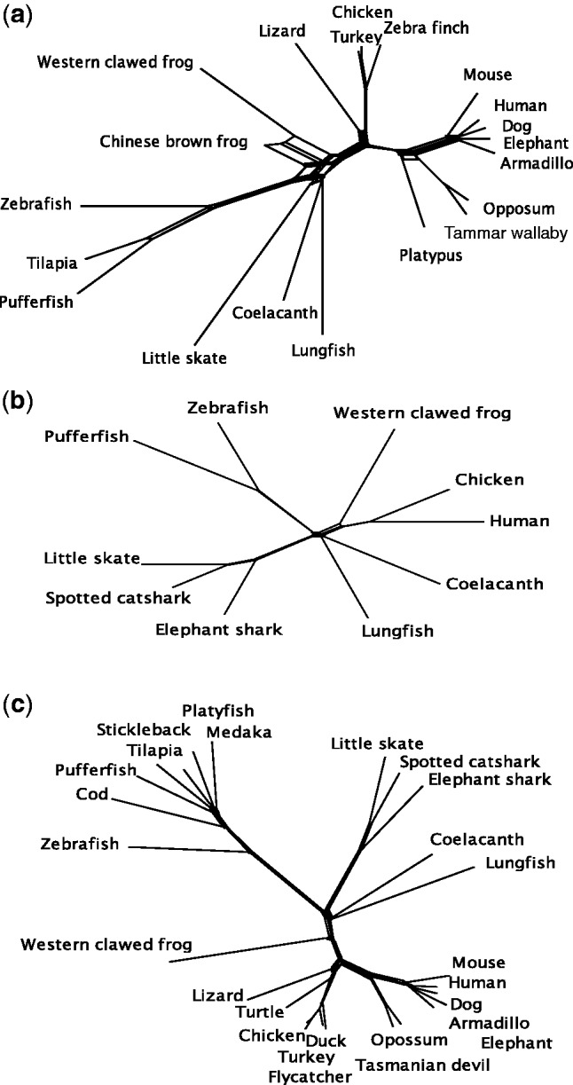 Fig. 3.—