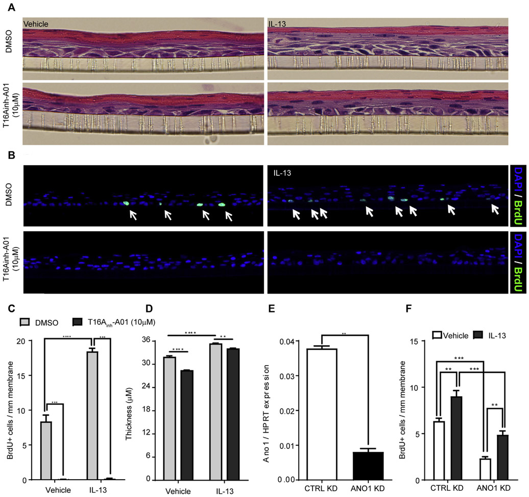 FIG 6.