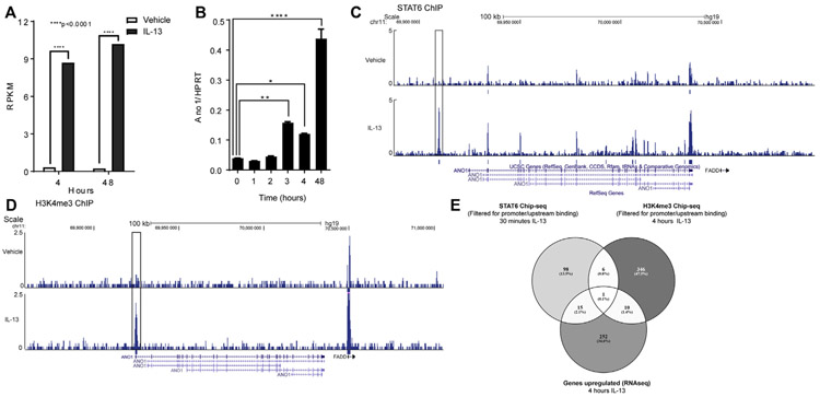 FIG 3.