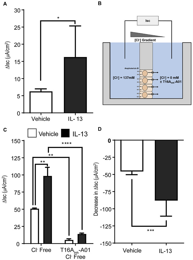 FIG 4.