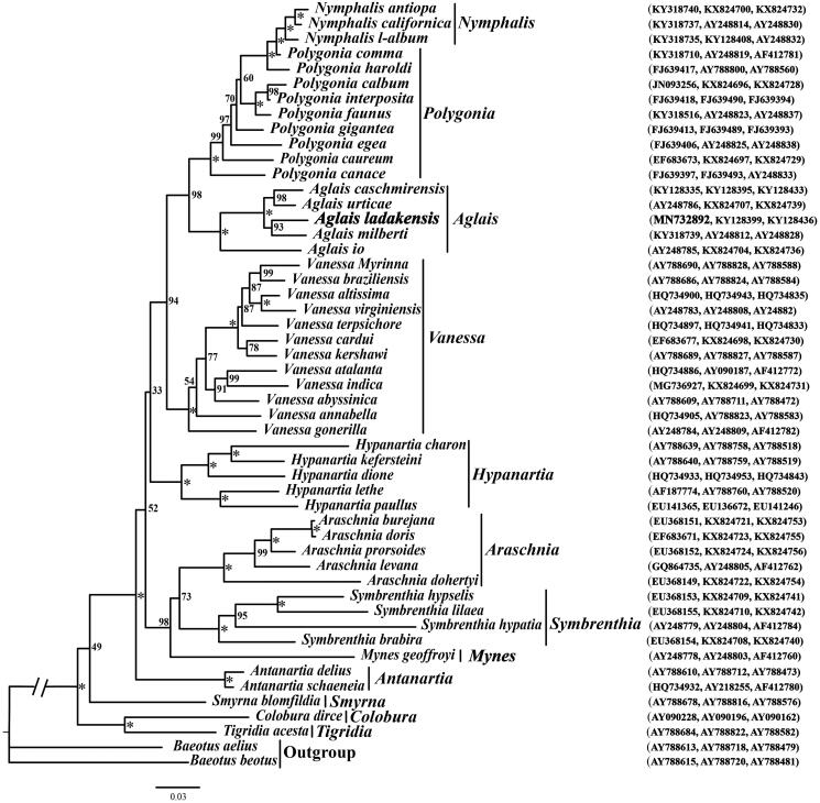 Figure 1.