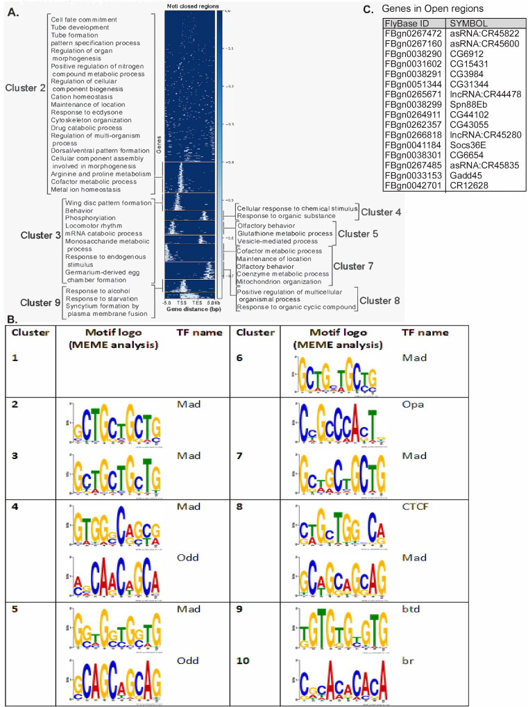 Figure 5—figure supplement 2.