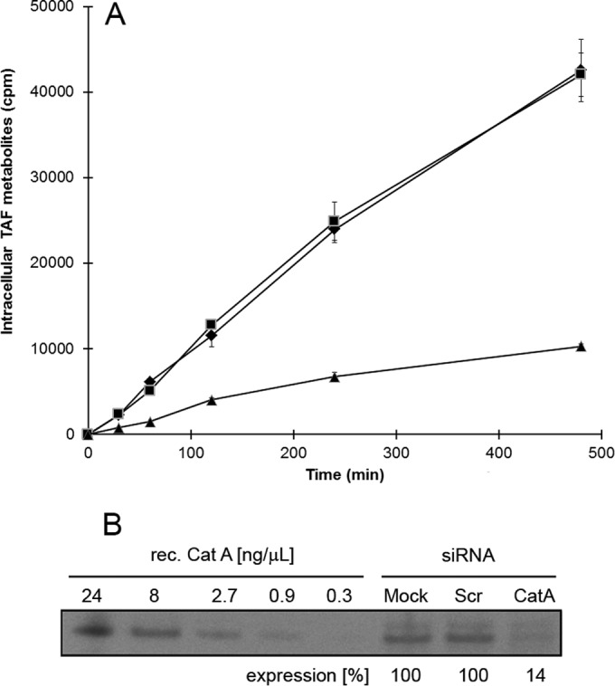 FIG 3