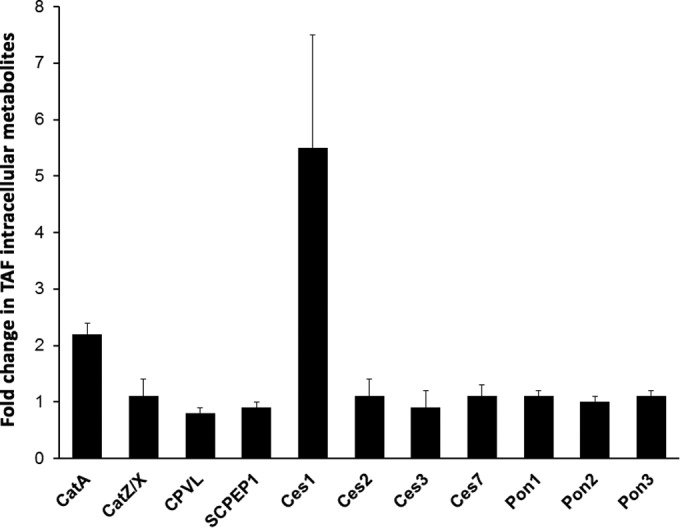 FIG 2