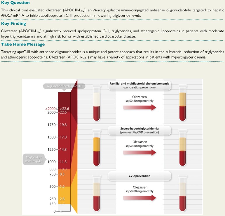 Structured Graphical Abstract