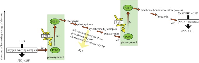 Figure 2.