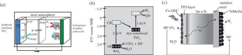 Figure 11.