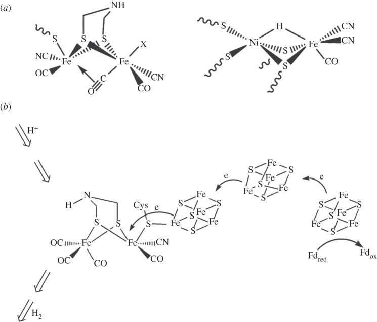 Figure 6.