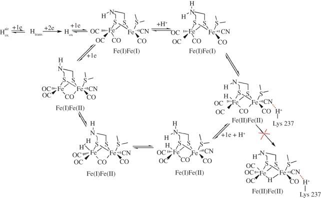 Figure 7.