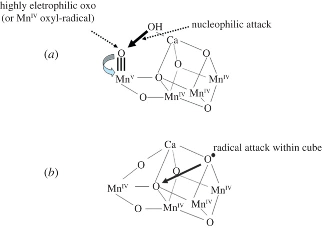 Figure 5.