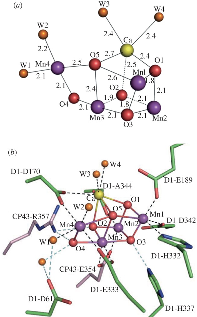 Figure 4.