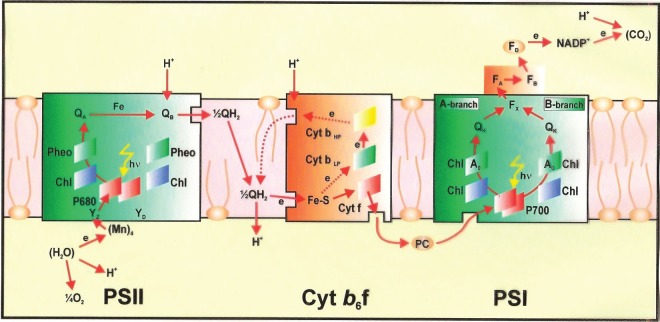 Figure 3.