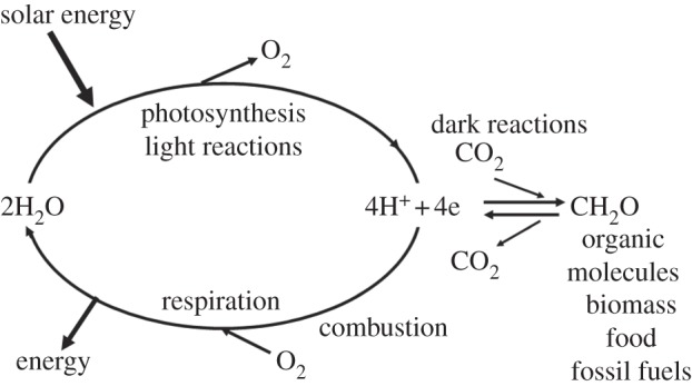 Figure 1.