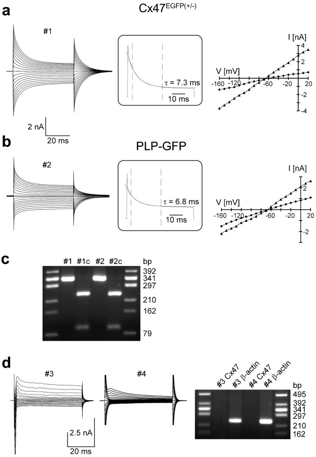 Figure 7.