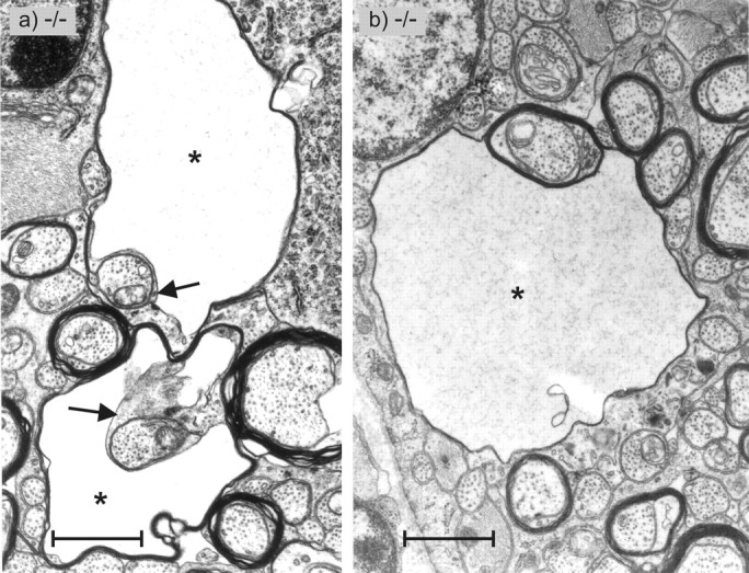 Figure 10.