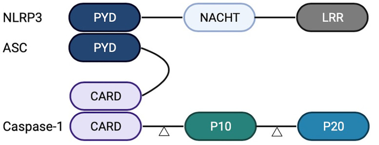 Figure 1