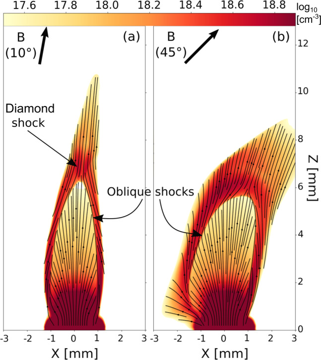 Fig. 6