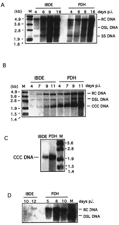 FIG. 8