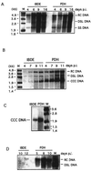 FIG. 8