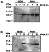 FIG. 7