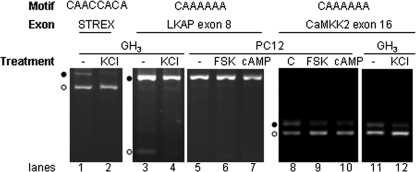 FIGURE 7.