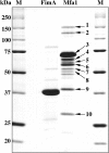 Fig. 3.