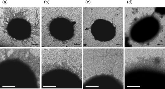 Fig. 6.