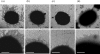 Fig. 6.