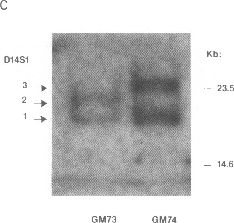 graphic file with name pnas00462-0322-a.jpg