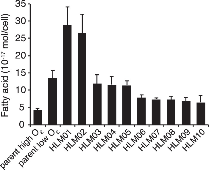 FIG 1 