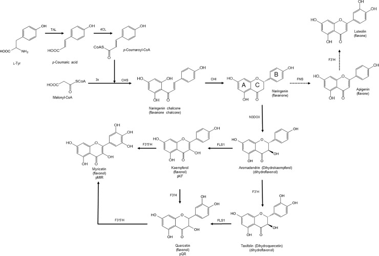 Fig 1