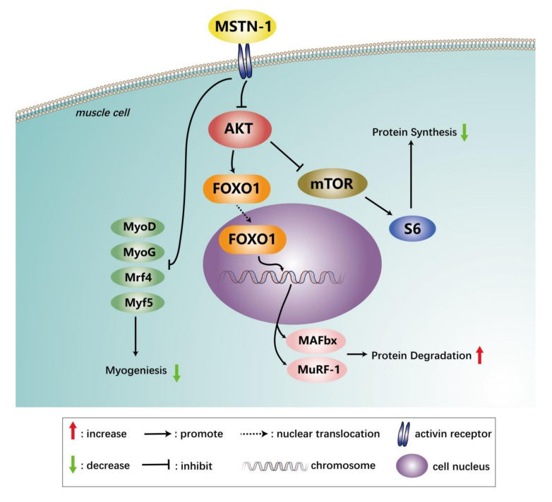 Figure 12