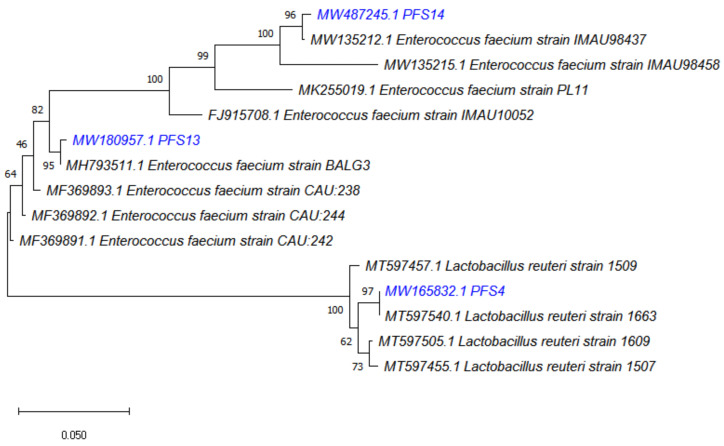 Figure 2