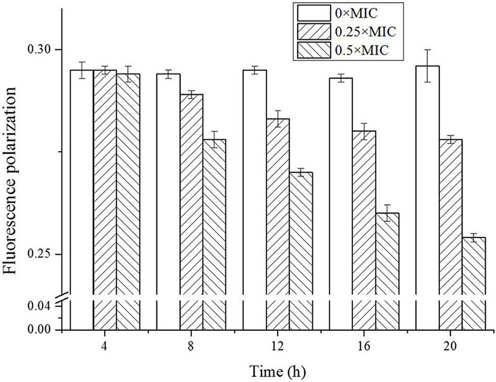 FIGURE 7