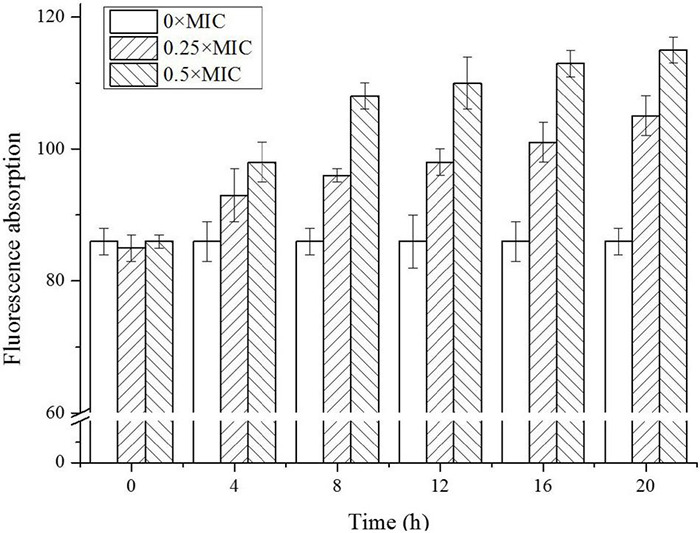 FIGURE 2