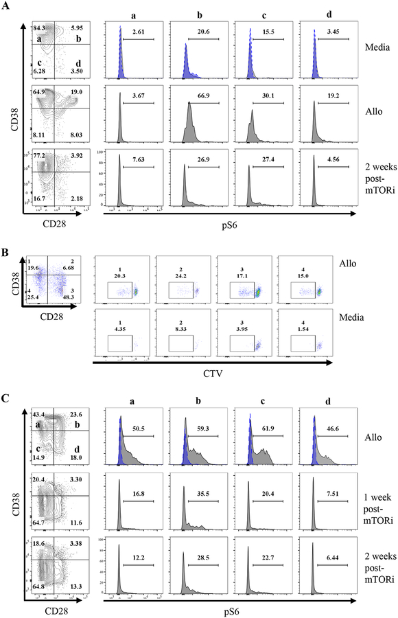 Figure 3: