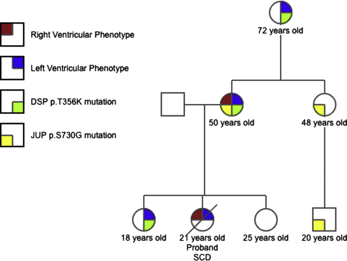 Figure 3