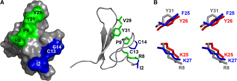 Fig. 6