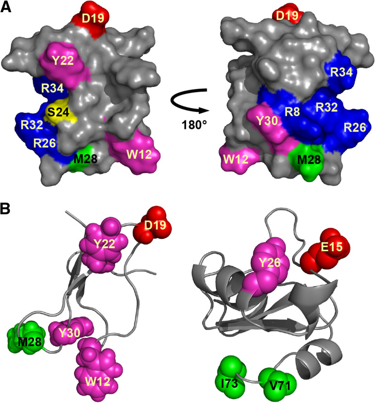 Fig. 4