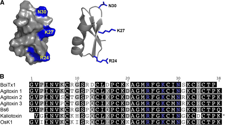 Fig. 9