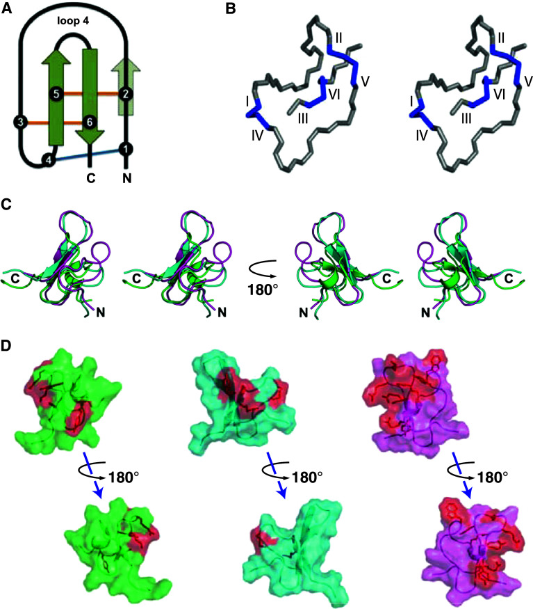 Fig. 1