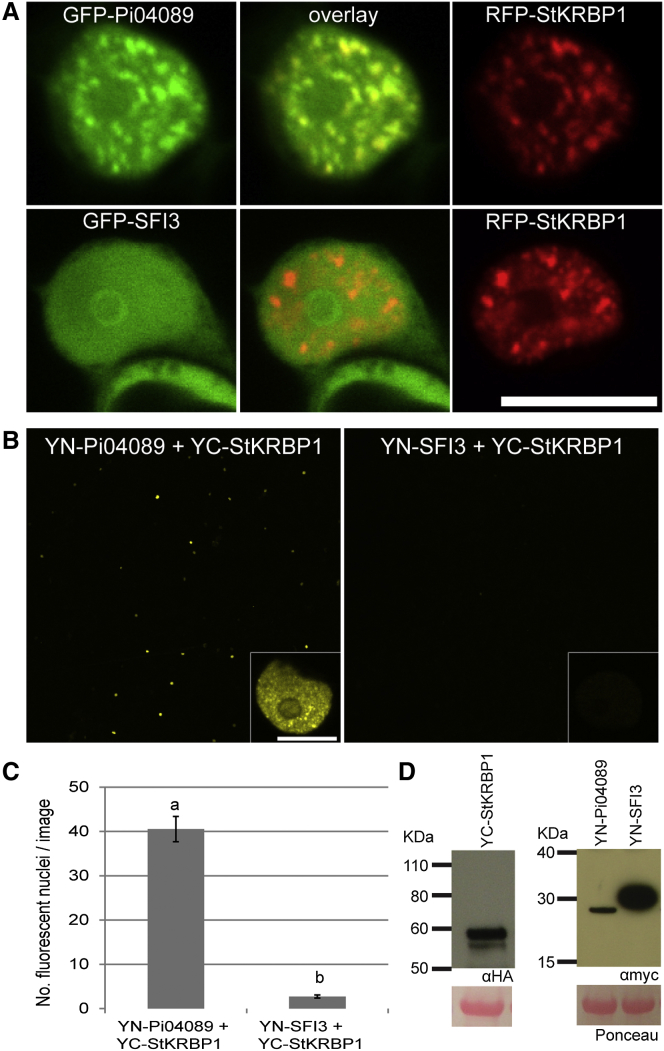 Figure 4