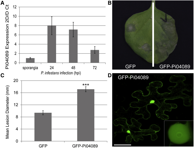 Figure 1