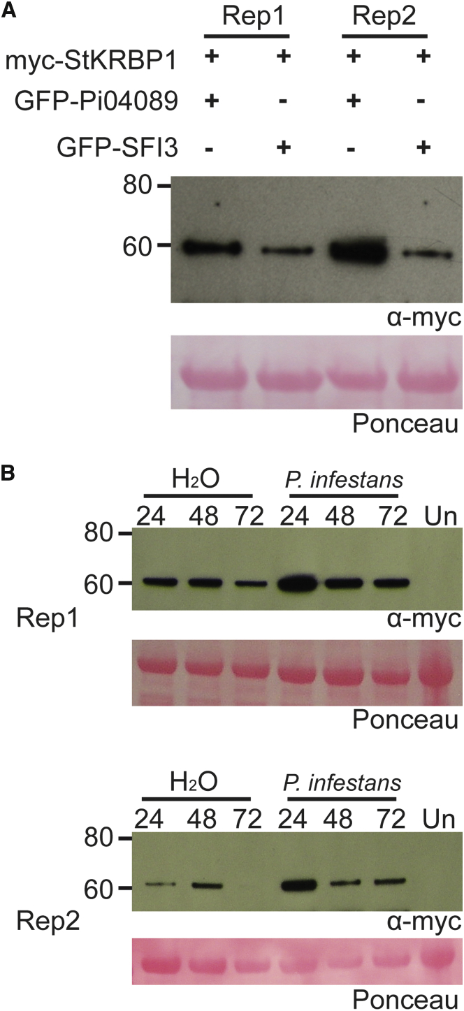 Figure 6