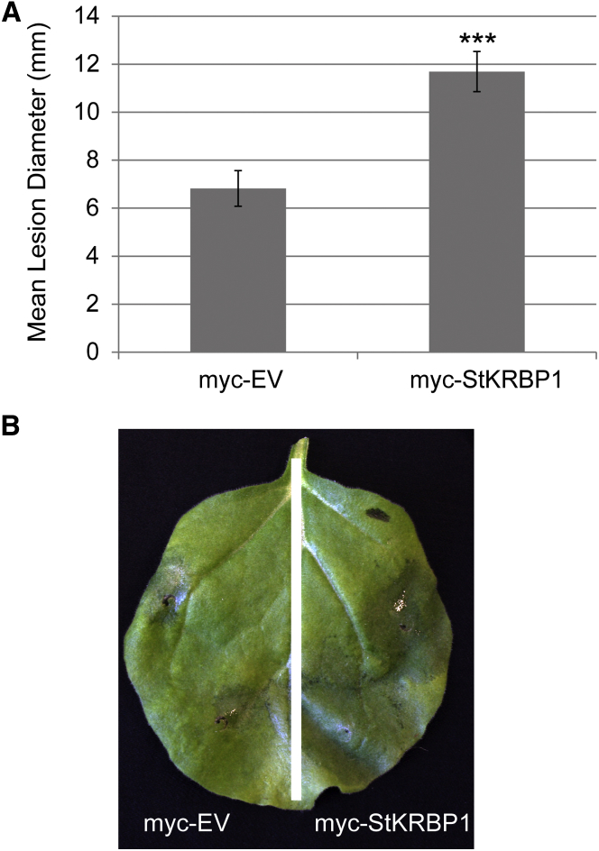 Figure 5