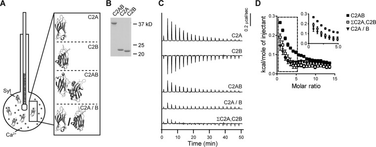 FIGURE 1: