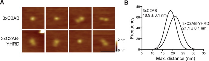 FIGURE 3: