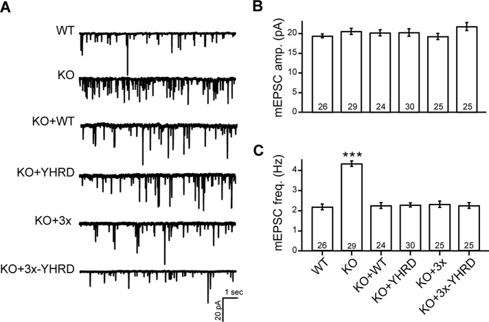 FIGURE 5: