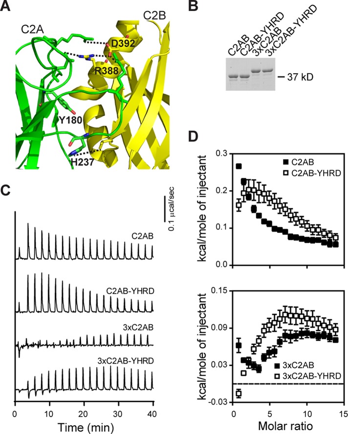 FIGURE 2: